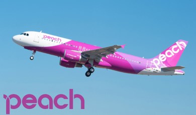 ふるさと納税でピーチポイント（Lcc用）をもらうための方法と注意点をすべて紹介！ | ふるさと納税最新情報【ふるなり】