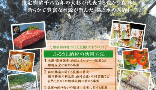 【ふるさと納税】長野県根羽村のおすすめ返礼品と主要10サイトの一覧まとめ