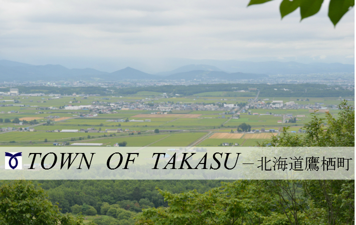 ふるさと納税 北海道 鷹栖町 A201 みつばち工房 山路 アカシア 630g