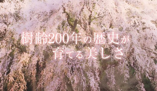 【ふるさと納税】秋田県湯沢市のおすすめ返礼品と主要10サイトの一覧まとめ