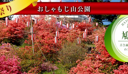 【ふるさと納税】埼玉県鳩山町のおすすめ返礼品と主要10サイトの一覧まとめ