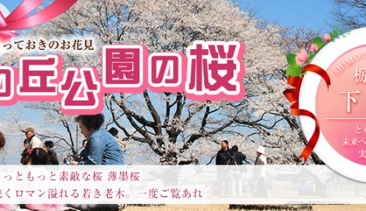 【ふるさと納税】栃木県下野市のおすすめ返礼品と主要10サイトの一覧まとめ