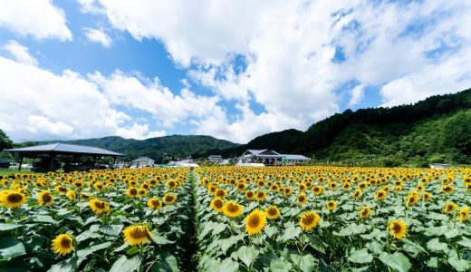【ふるさと納税】長野県平谷村のおすすめ返礼品と主要10サイトの一覧まとめ