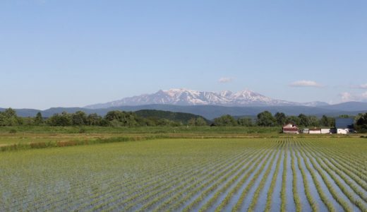 【ふるさと納税】北海道比布町のおすすめ返礼品と主要10サイトの一覧まとめ