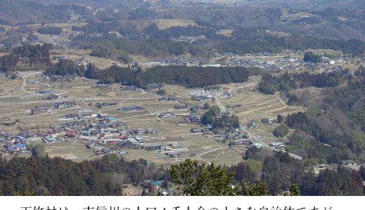 【ふるさと納税】長野県下條村のおすすめ返礼品と主要10サイトの一覧まとめ