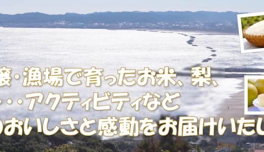 【ふるさと納税】千葉県いすみ市のおすすめ返礼品と主要10サイトの一覧まとめ