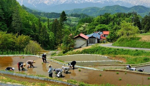 【ふるさと納税】長野県小川村のおすすめ返礼品と主要10サイトの一覧まとめ