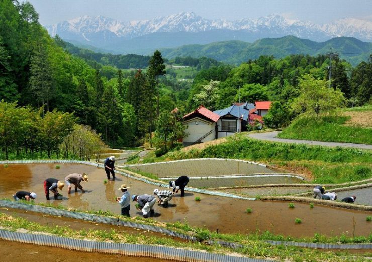 企業版ふるさと納税について／長野県