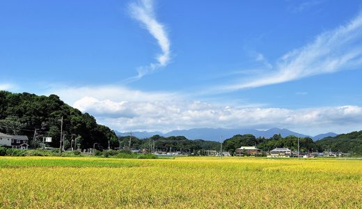 【ふるさと納税】神奈川県中井町のおすすめ返礼品と主要10サイトの一覧まとめ