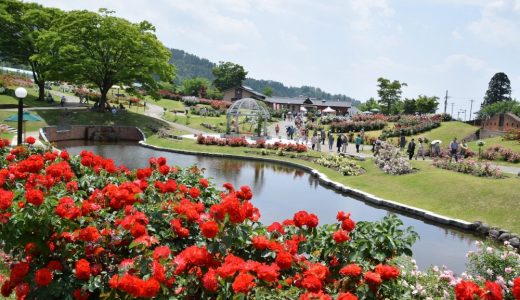 【ふるさと納税】山形県村山市のおすすめ返礼品と主要10サイトの一覧まとめ