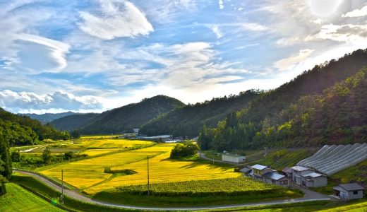 【ふるさと納税】山形県高畠町のおすすめ返礼品と主要10サイトの一覧まとめ