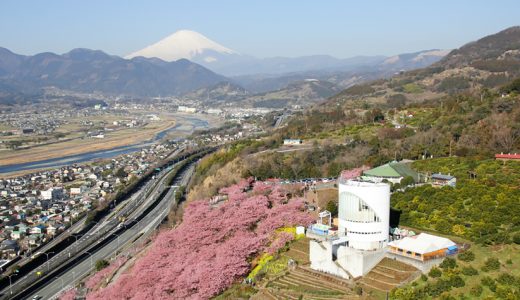 【ふるさと納税】神奈川県松田町のおすすめ返礼品と主要10サイトの一覧まとめ