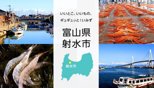 【ふるさと納税】富山県射水市のおすすめ返礼品と主要10サイトの一覧まとめ