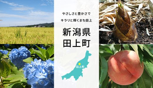 【ふるさと納税】新潟県田上町のおすすめ返礼品と主要10サイトの一覧まとめ