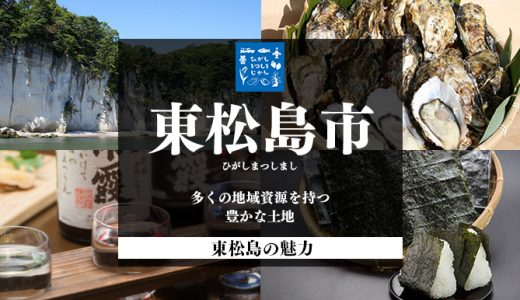 【ふるさと納税】宮城県東松島市のおすすめ返礼品と主要10サイトの一覧まとめ