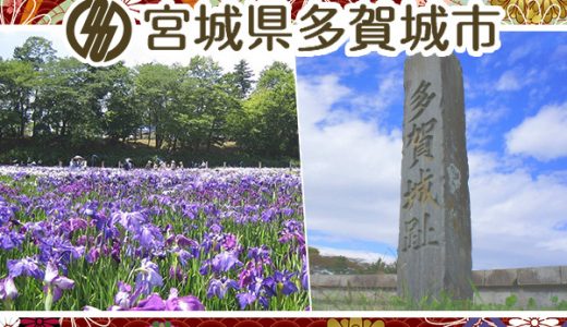 【ふるさと納税】宮城県多賀城市のおすすめ返礼品と主要10サイトの一覧まとめ