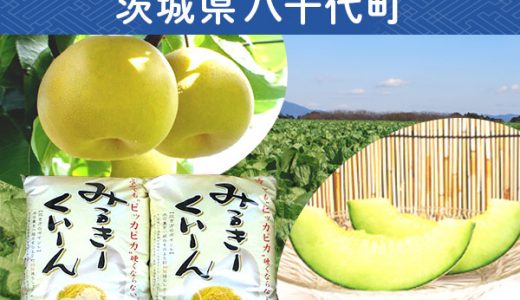 【ふるさと納税】茨城県八千代町のおすすめ返礼品と主要10サイトの一覧まとめ