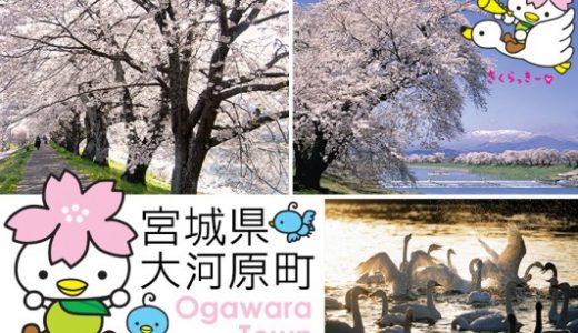 【ふるさと納税】宮城県大河原町のおすすめ返礼品と主要10サイトの一覧まとめ