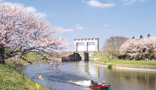 【ふるさと納税】千葉県栄町のおすすめ返礼品と主要10サイトの一覧まとめ