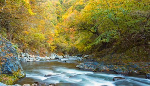 【ふるさと納税】山梨県丹波山村のおすすめ返礼品と主要10サイトの一覧まとめ