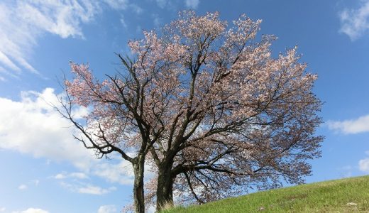 【ふるさと納税】北海道津別町のおすすめ返礼品と主要10サイトの一覧まとめ